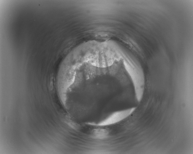 X0000068300169200605122013