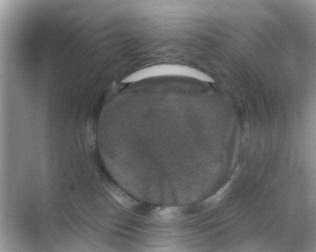 X0000068300186200605122013