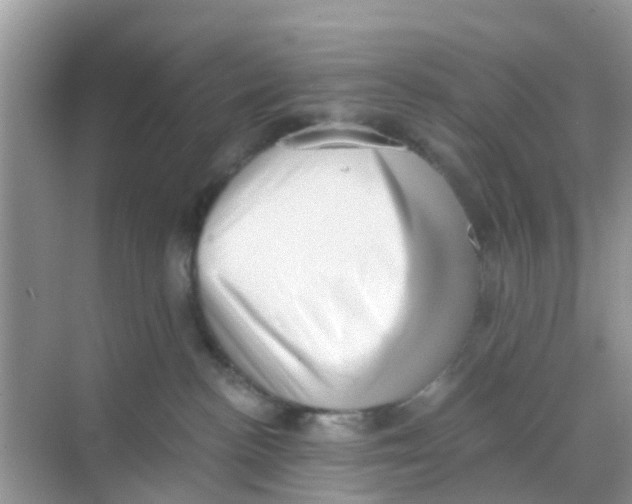 X0000068300188200605122013