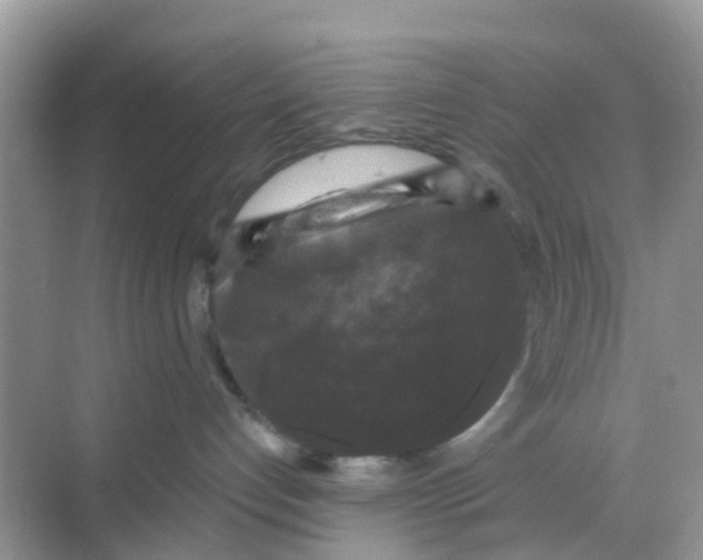 X0000068300192200605122013