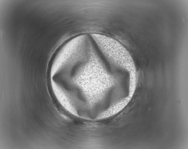X0000068300195200605122013