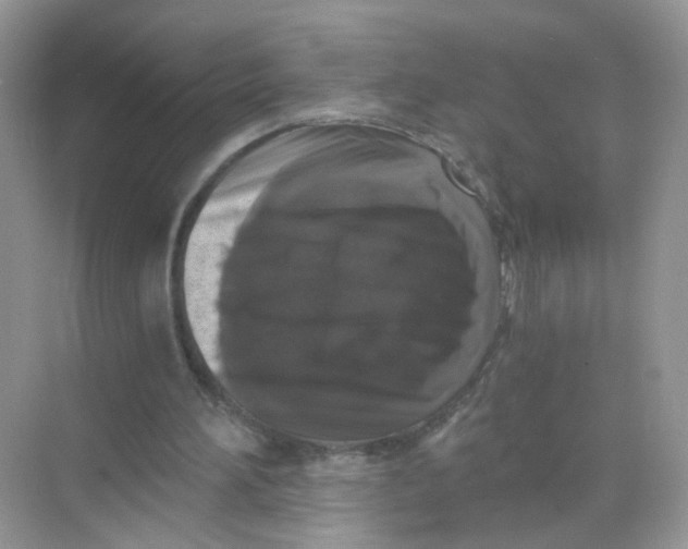X0000068300196200605122013