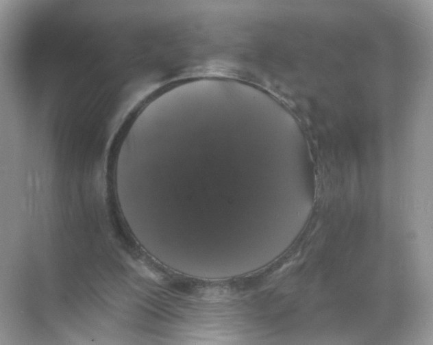 X0000068300200200605122012