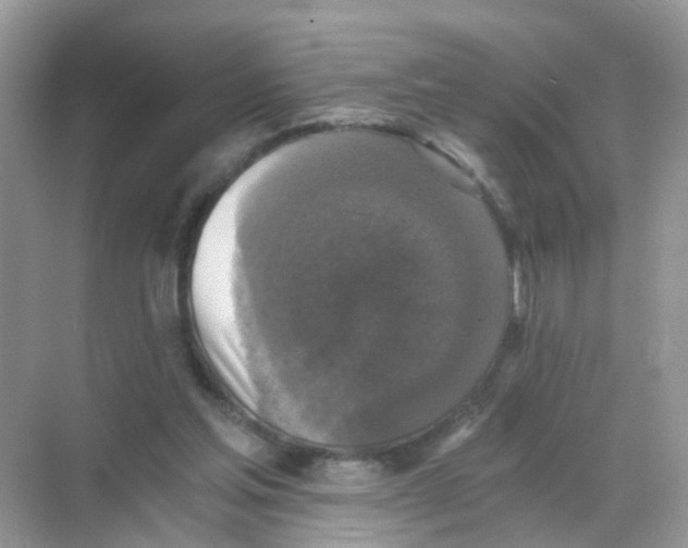 X0000068300205200605122012