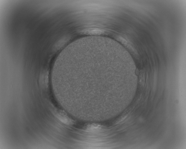 X0000068300206200605122012