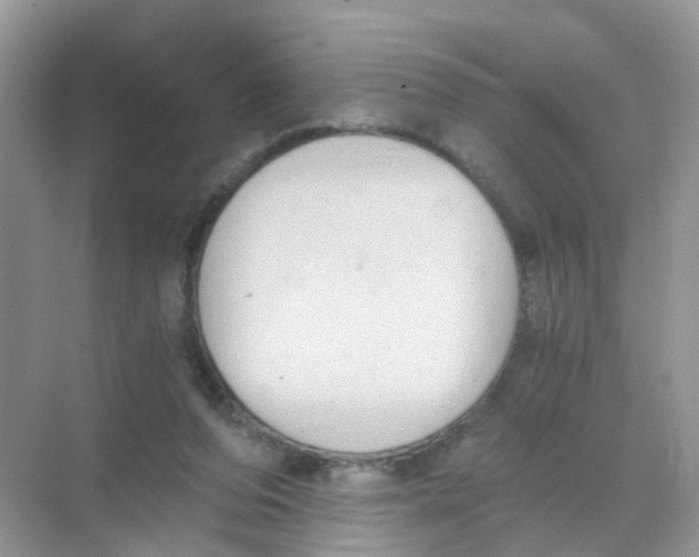 X0000068300208200605122012