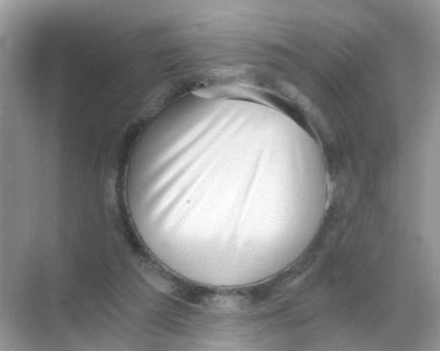 X0000068300209200605122012