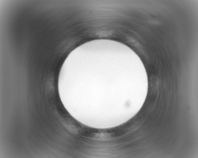 X0000068300212200605122012