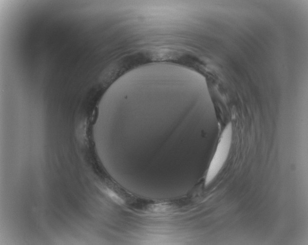 X0000068300219200605122012