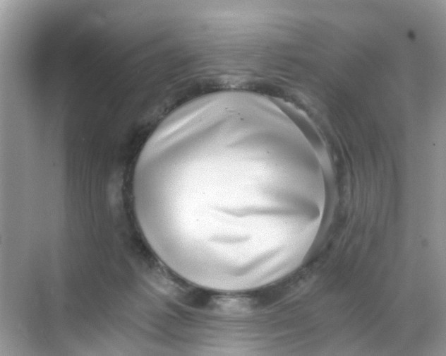 X0000068300221200605122012