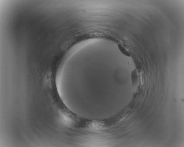 X0000068300223200605122012