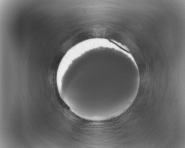 X0000068300233200605122012