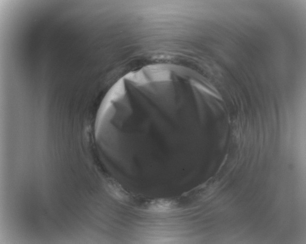 X0000068300235200605122012