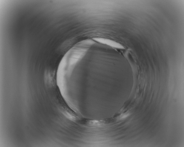 X0000068300239200605122012