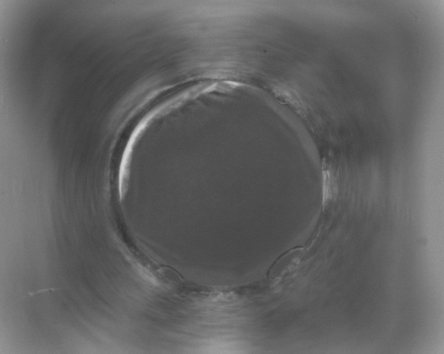 X0000068300243200605122011