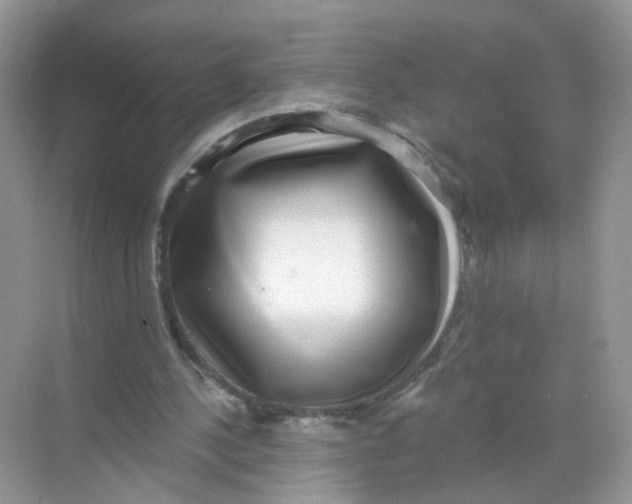 X0000068300244200605122011