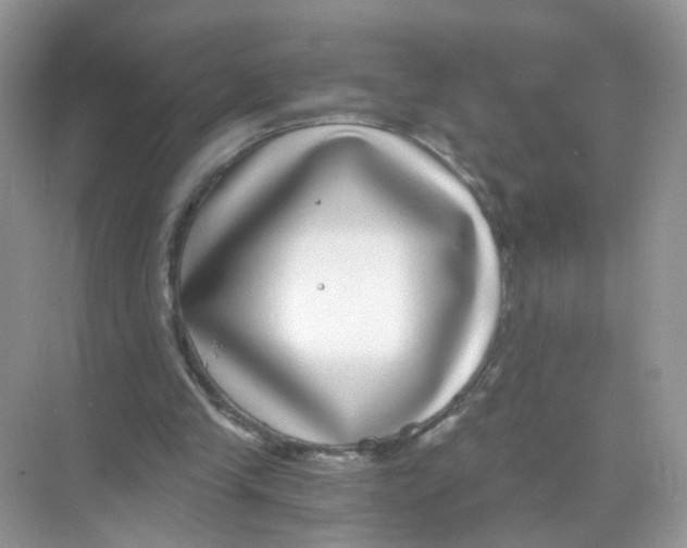 X0000068300245200605122011