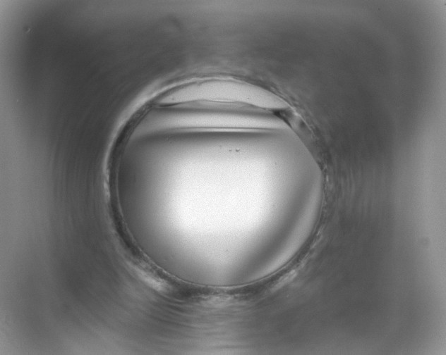X0000068300246200605122011