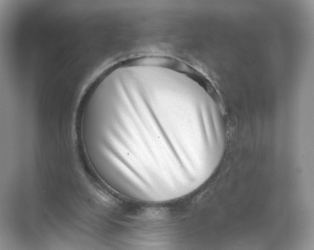 X0000068300248200605122011