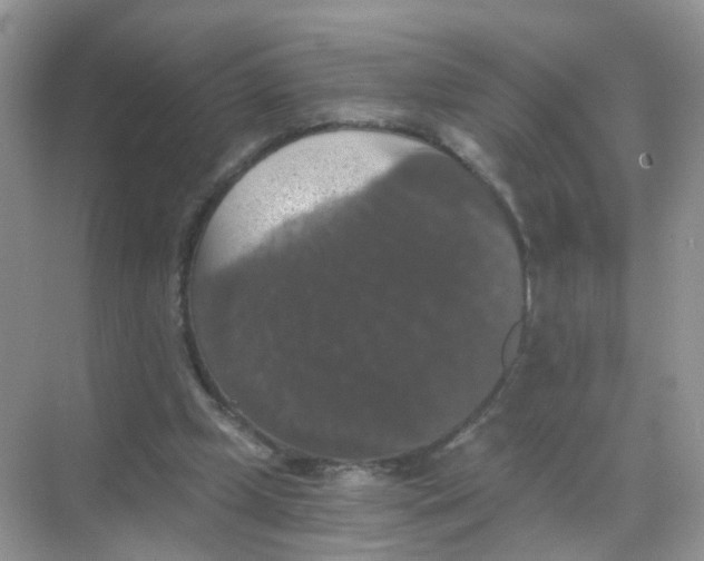 X0000068300249200605122011