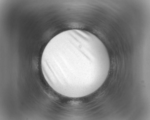X0000068300255200605122011