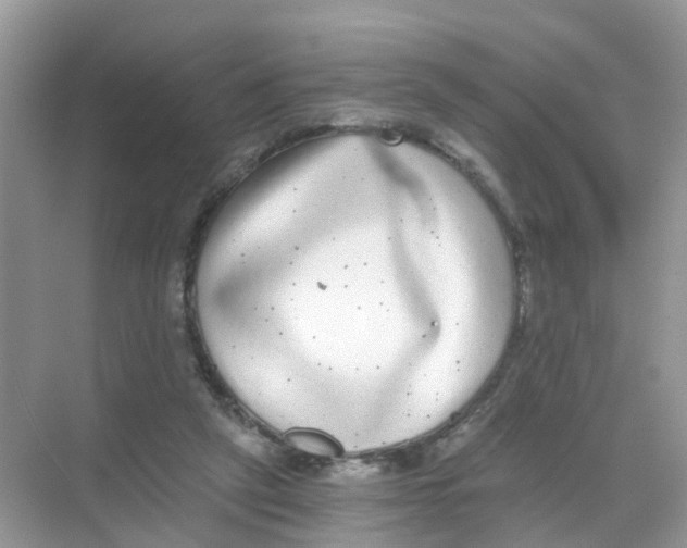 X0000068300257200605122011