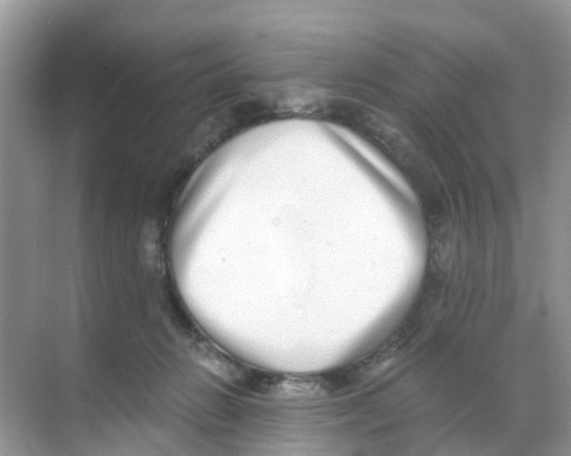 X0000068300270200605122011