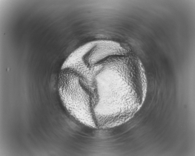 X0000068300273200605122012