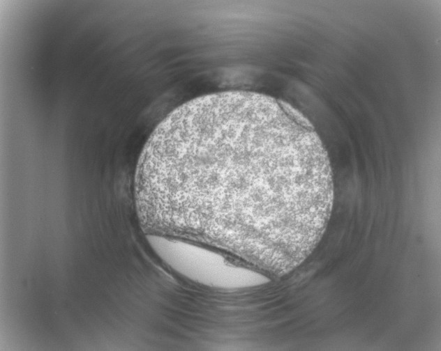 X0000068300281200605122012