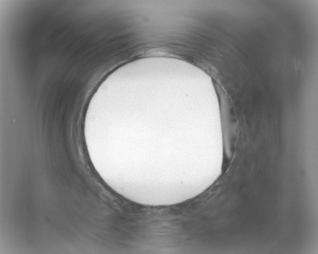 X0000068300289200605122011
