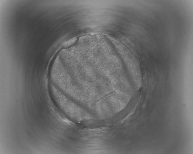X0000068300290200605122011
