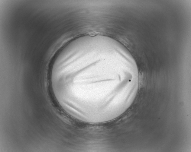 X0000068300291200605122011