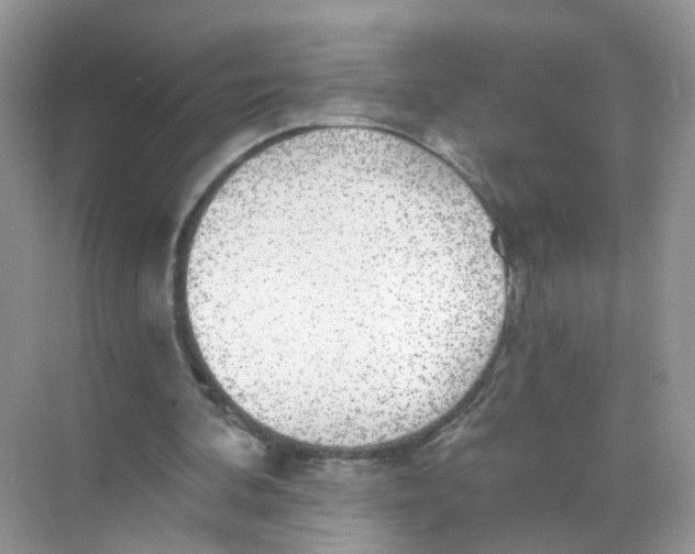 X0000068300292200605122011