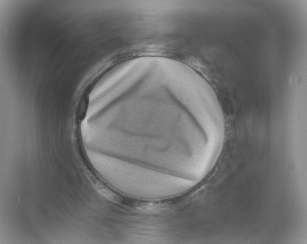X0000068300293200605122011
