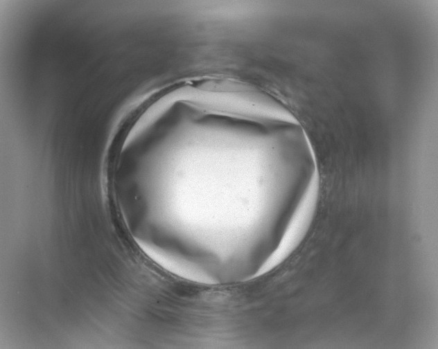 X0000068300294200605122011