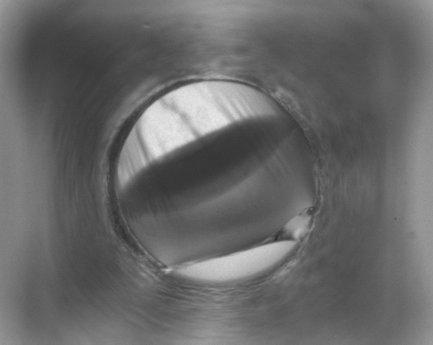 X0000068300295200605122011