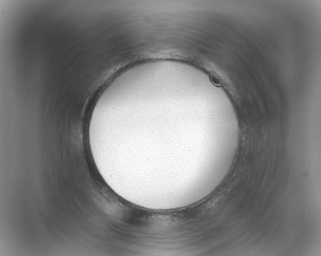 X0000068300298200605122011