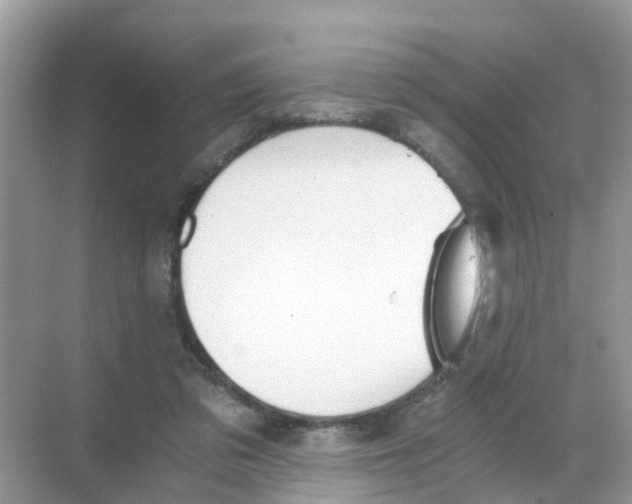 X0000068300309200605122011