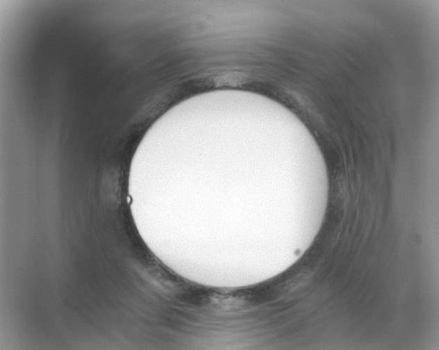 X0000068300311200605122011