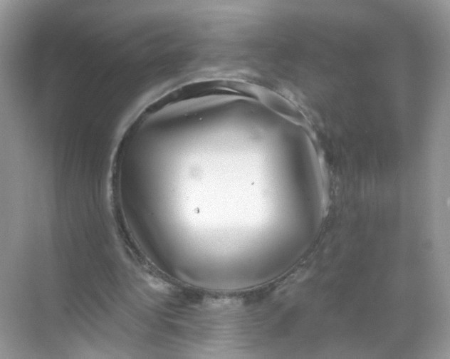 X0000068300340200605122009