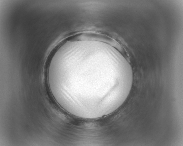 X0000068300344200605122009