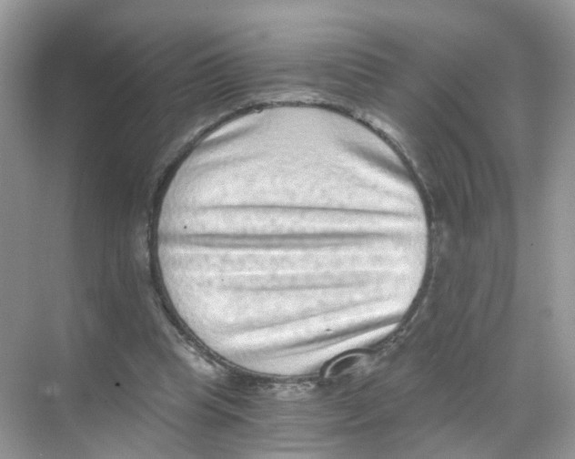 X0000068300345200605122009