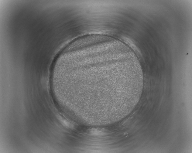 X0000068300346200605122010