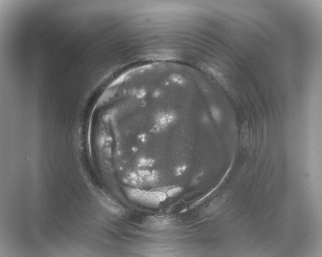 X0000068300351200605122010