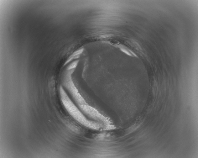 X0000068300366200605122010