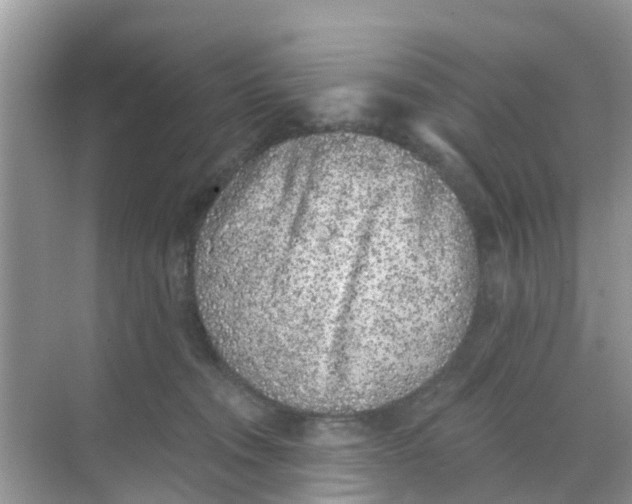 X0000068300372200605122010