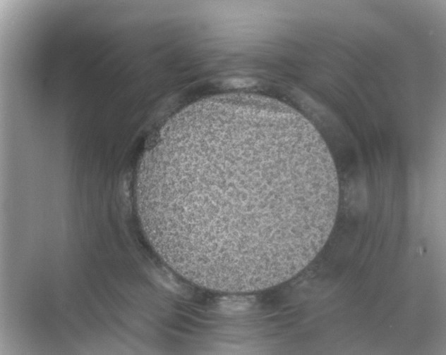 X0000068300373200605122010