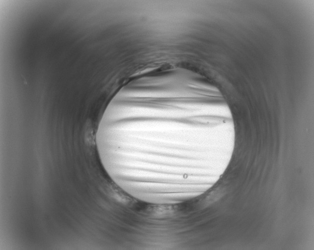 X0000068300384200605122010