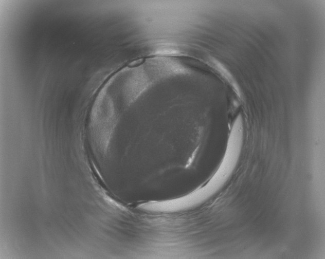 X0000068300385200605122009