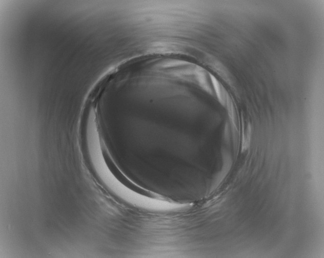 X0000068300387200605122009